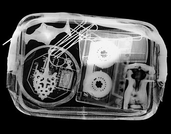 MAM Tradition & Modernity Screened