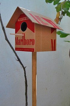 IAB The Bird House