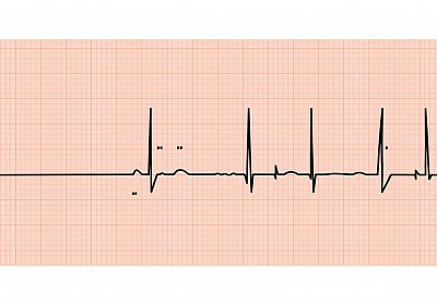 NAS Guide Us Upon The Straight Path