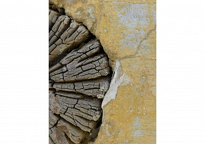 Beam 2013 Lambda Print 90x