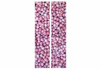 Block Bon Bon No 4 Lambda P