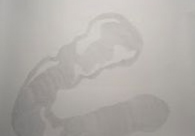 screen shot 2021 07 14 at 2.33.04 pm