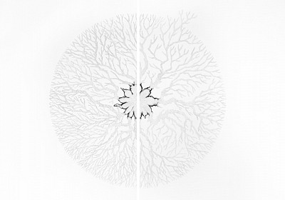 sara abdu rewarding discomfort